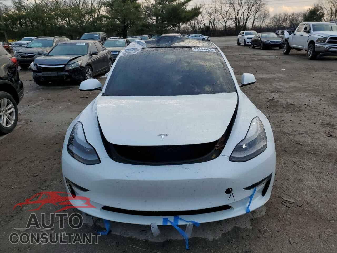 TESLA MODEL 3 2021 - 5YJ3E1EC6MF065076