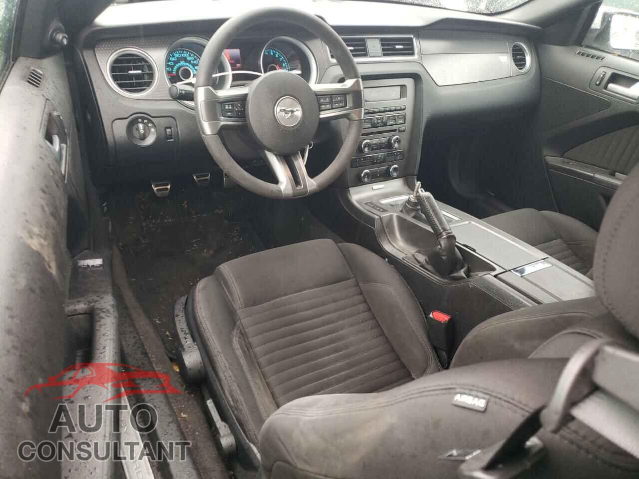 FORD MUSTANG 2013 - 1ZVBP8CU3D5225942