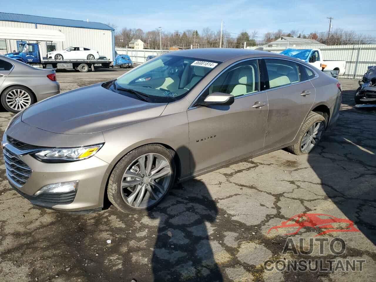 CHEVROLET MALIBU 2024 - 1G1ZE5ST5RF241620