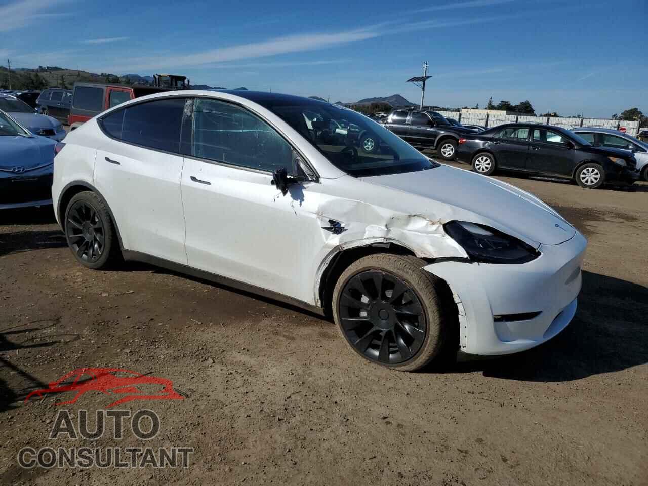 TESLA MODEL Y 2024 - 7SAYGAEE3RF043712