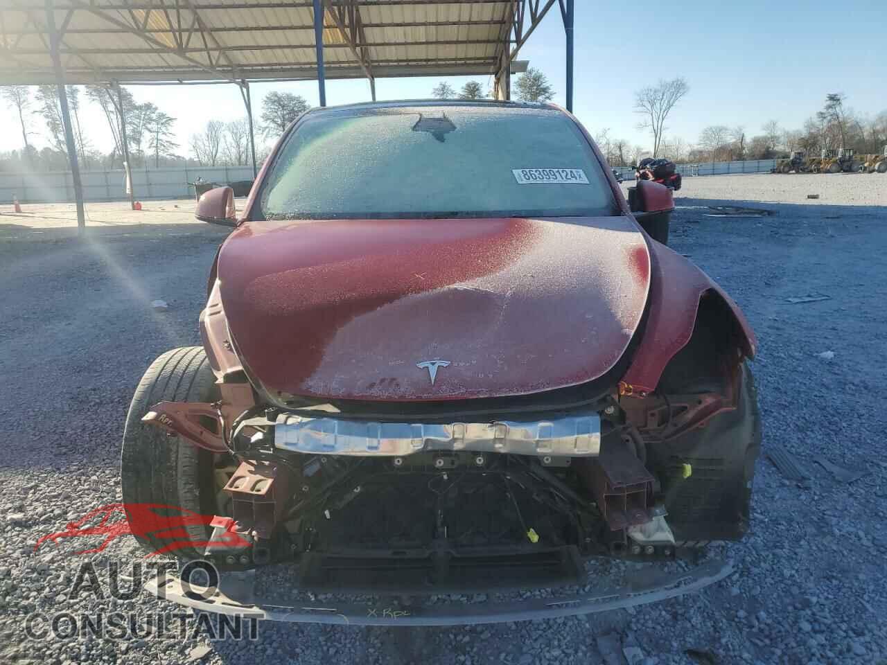 TESLA MODEL Y 2022 - 7SAYGDEE7NA022435