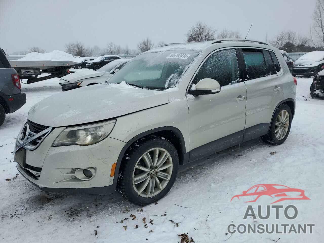 VOLKSWAGEN TIGUAN 2009 - WVGBV75N09W542454