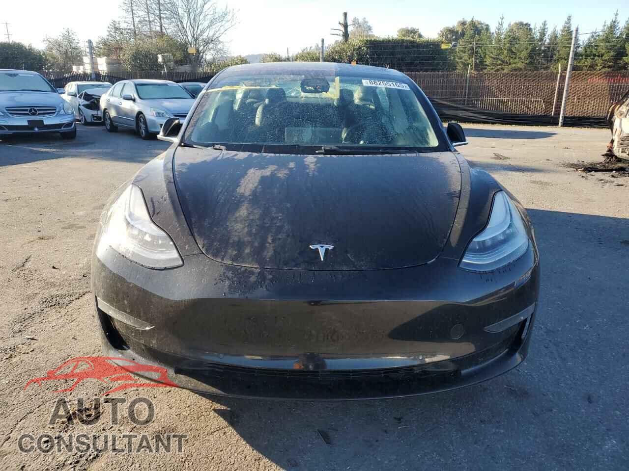 TESLA MODEL 3 2019 - 5YJ3E1EB8KF388775