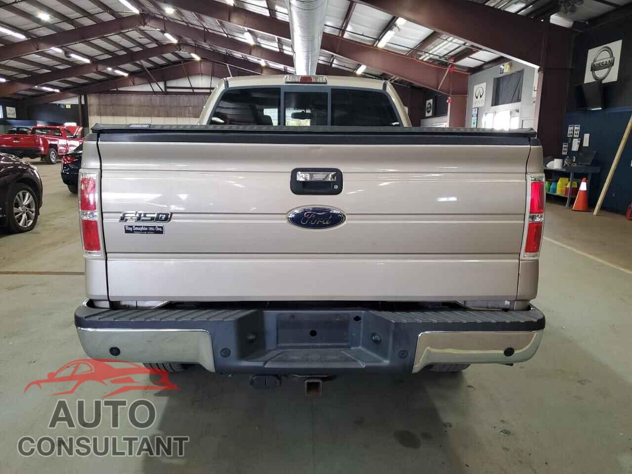 FORD F-150 2010 - 1FTEX1E85AFB24088