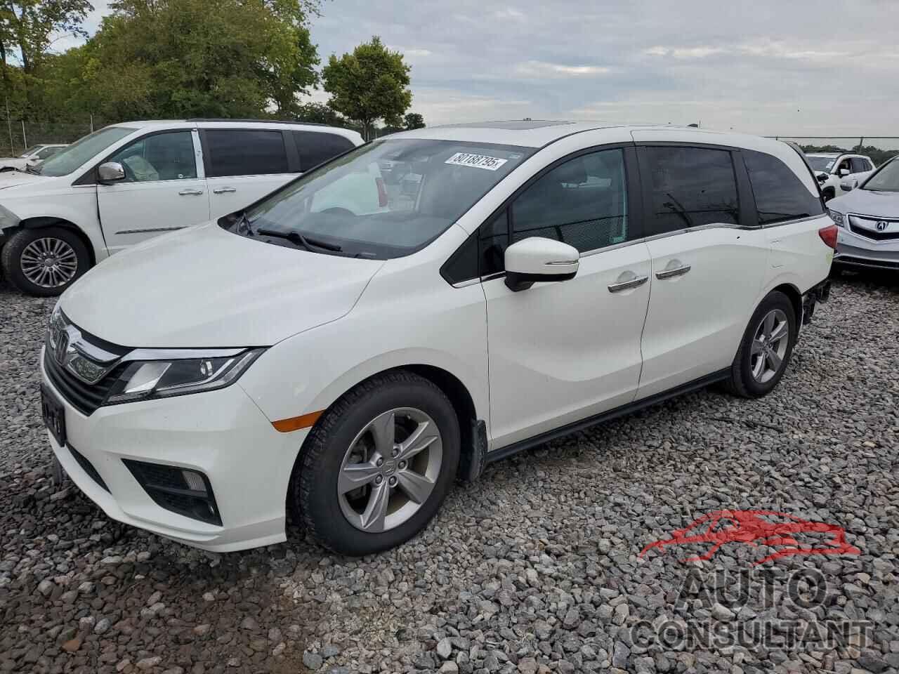 HONDA All Models 2020 - 5FNRL6H70LB019902