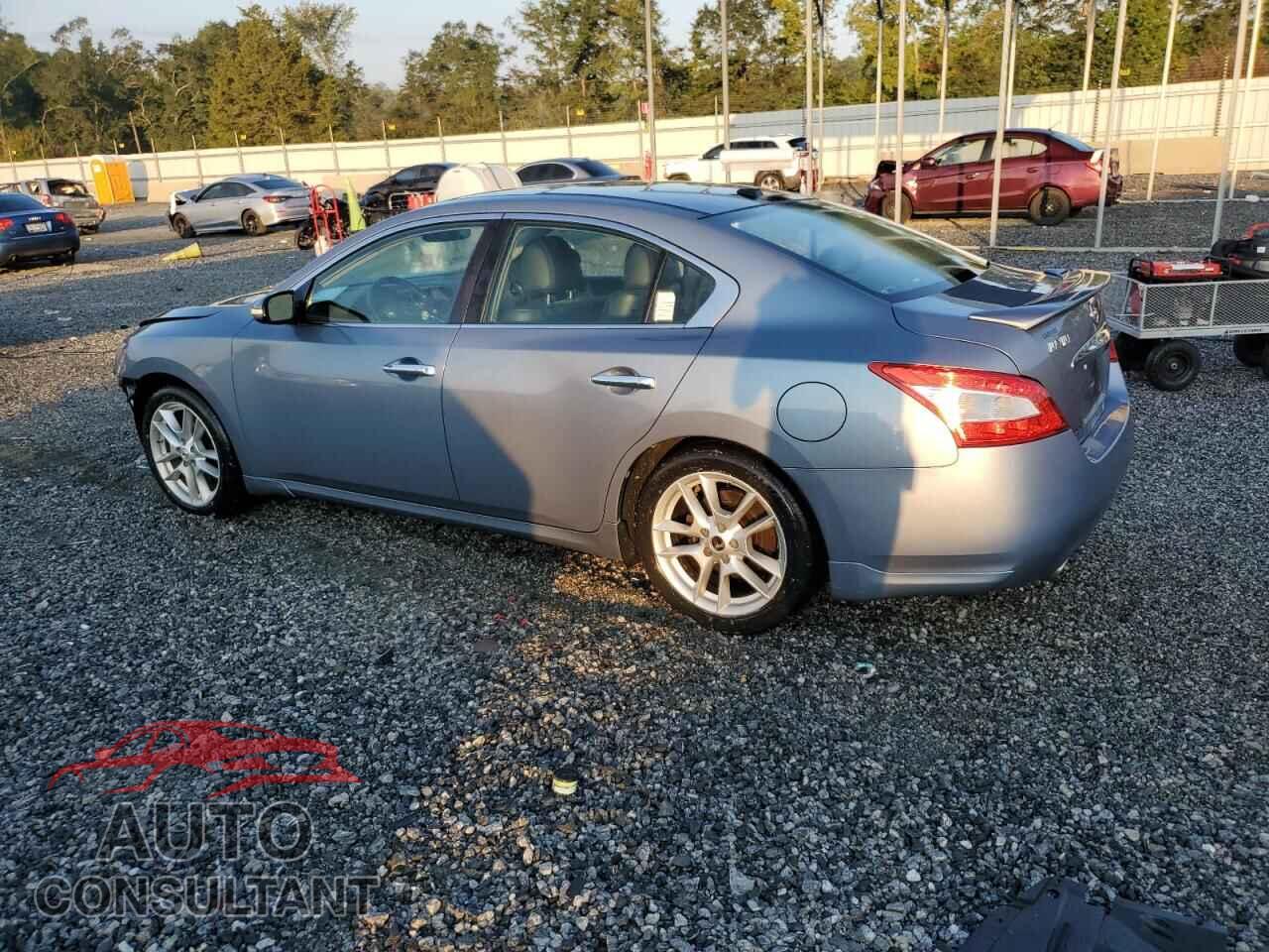 NISSAN MAXIMA 2011 - 1N4AA5AP2BC805113