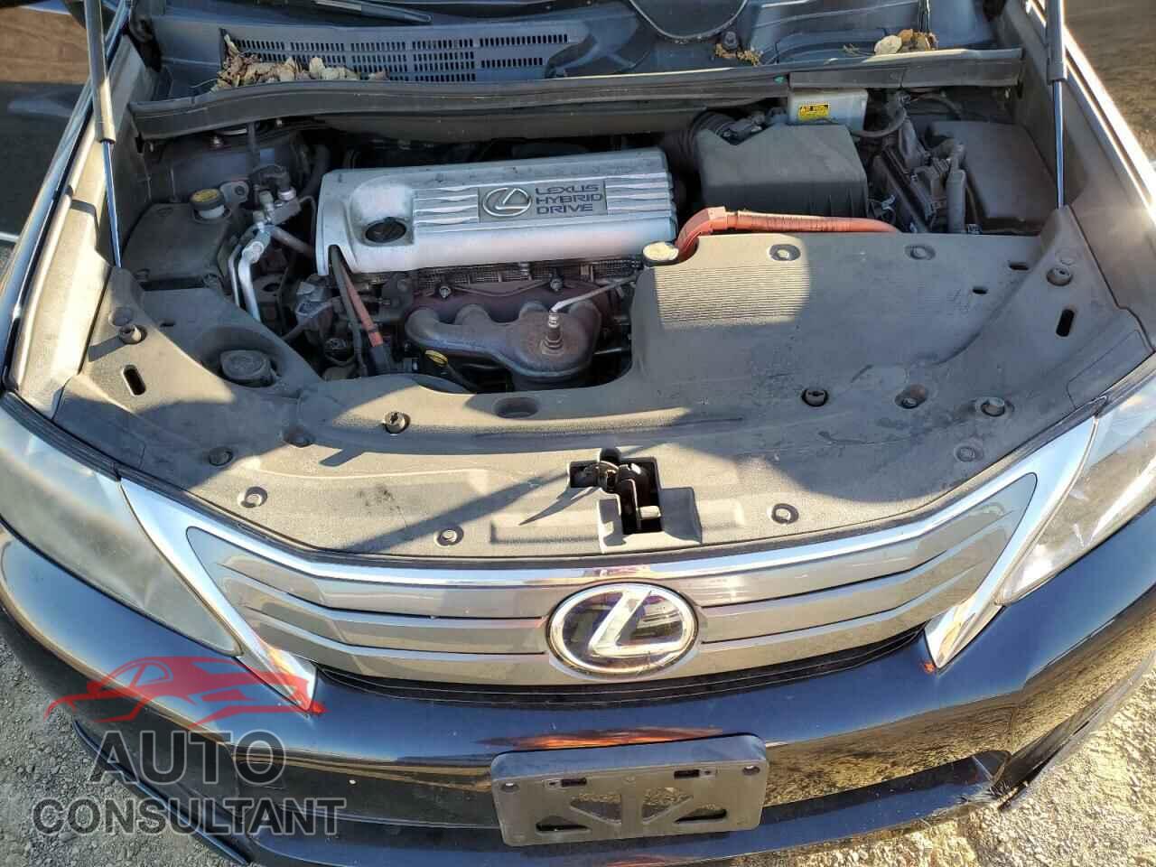 LEXUS HS 2010 - JTHBB1BA1A2017523