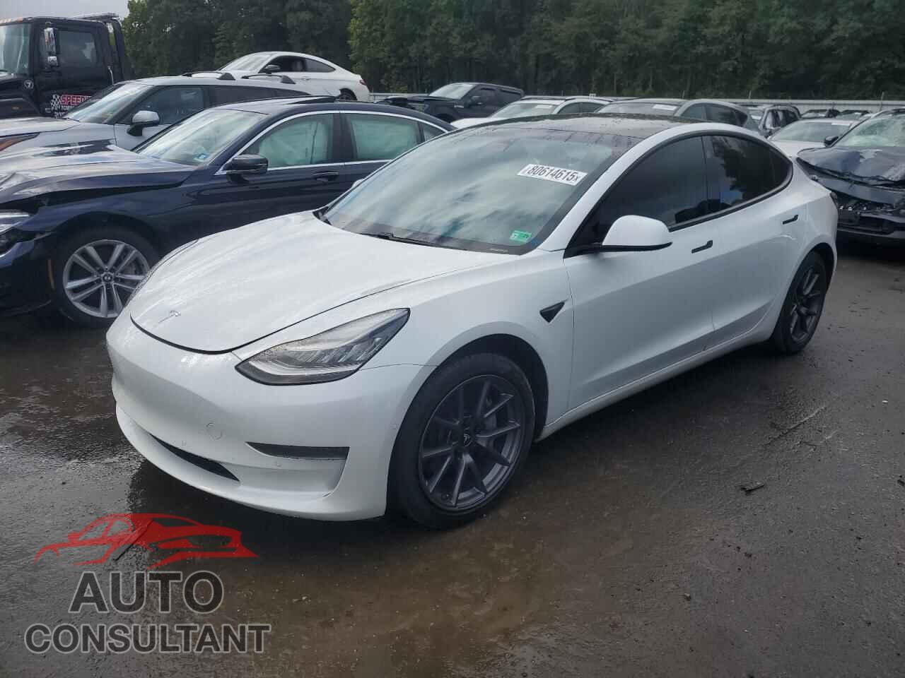 TESLA MODEL 3 2021 - 5YJ3E1EA3MF853683