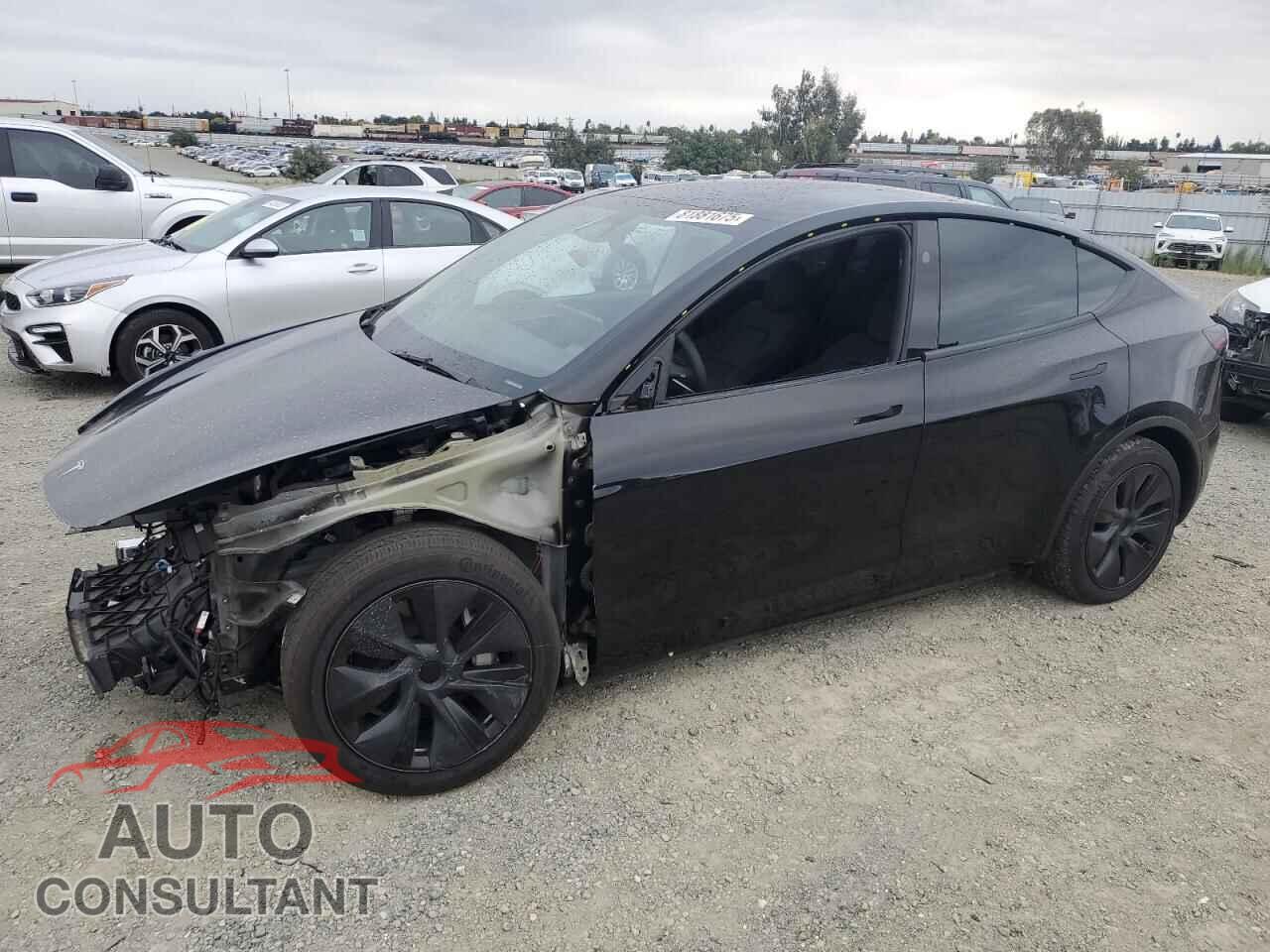 TESLA MODEL Y 2024 - 7SAYGDEE8RF155892