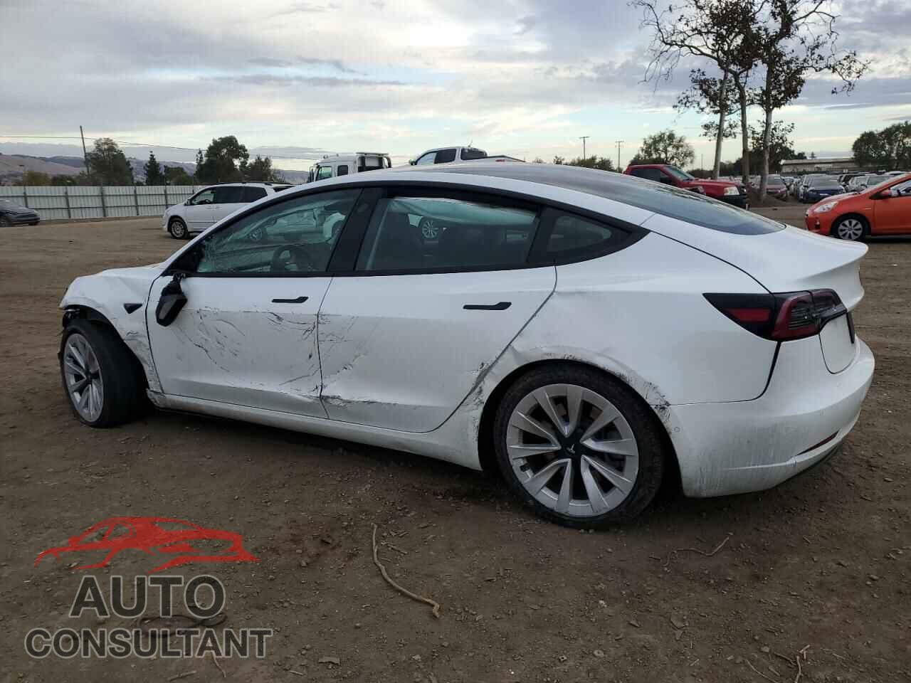 TESLA MODEL 3 2021 - 5YJ3E1EA3MF990803