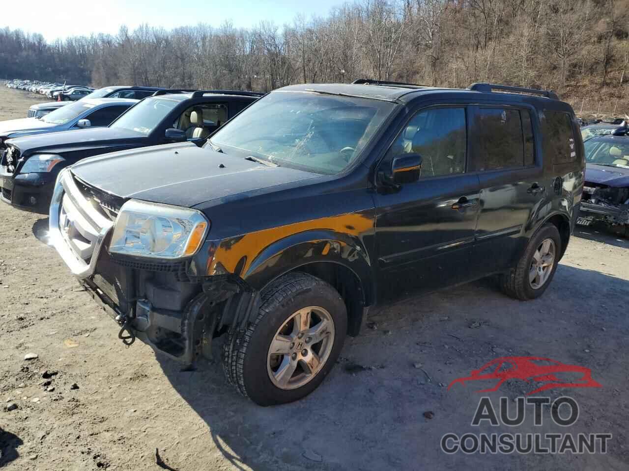 HONDA PILOT 2010 - 5FNYF3H62AB020748