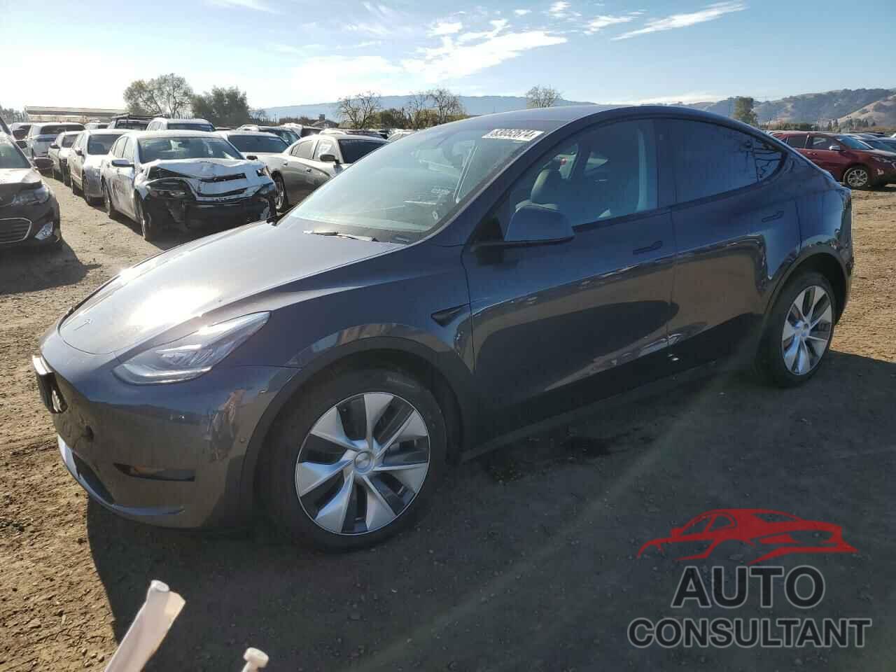 TESLA MODEL Y 2021 - 5YJYGDEE1MF188562