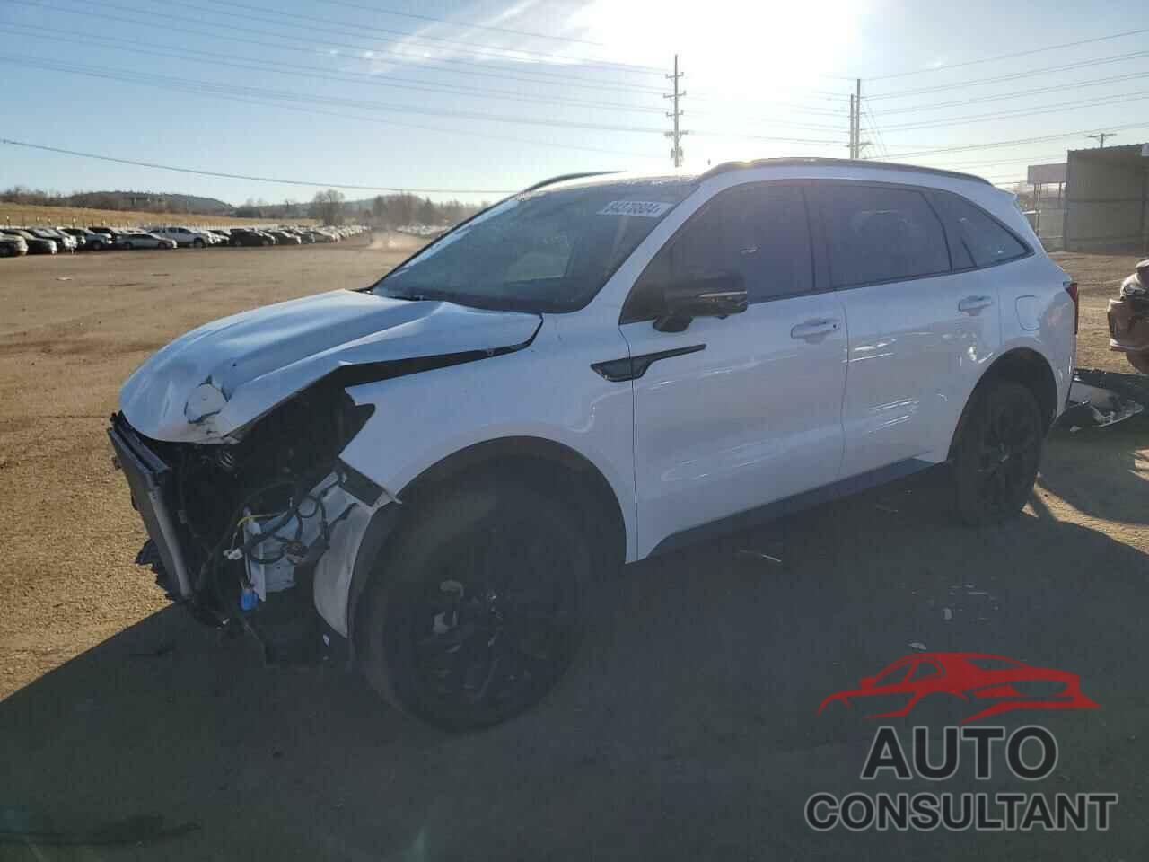 KIA SORENTO 2023 - 5XYRKDLF4PG251116