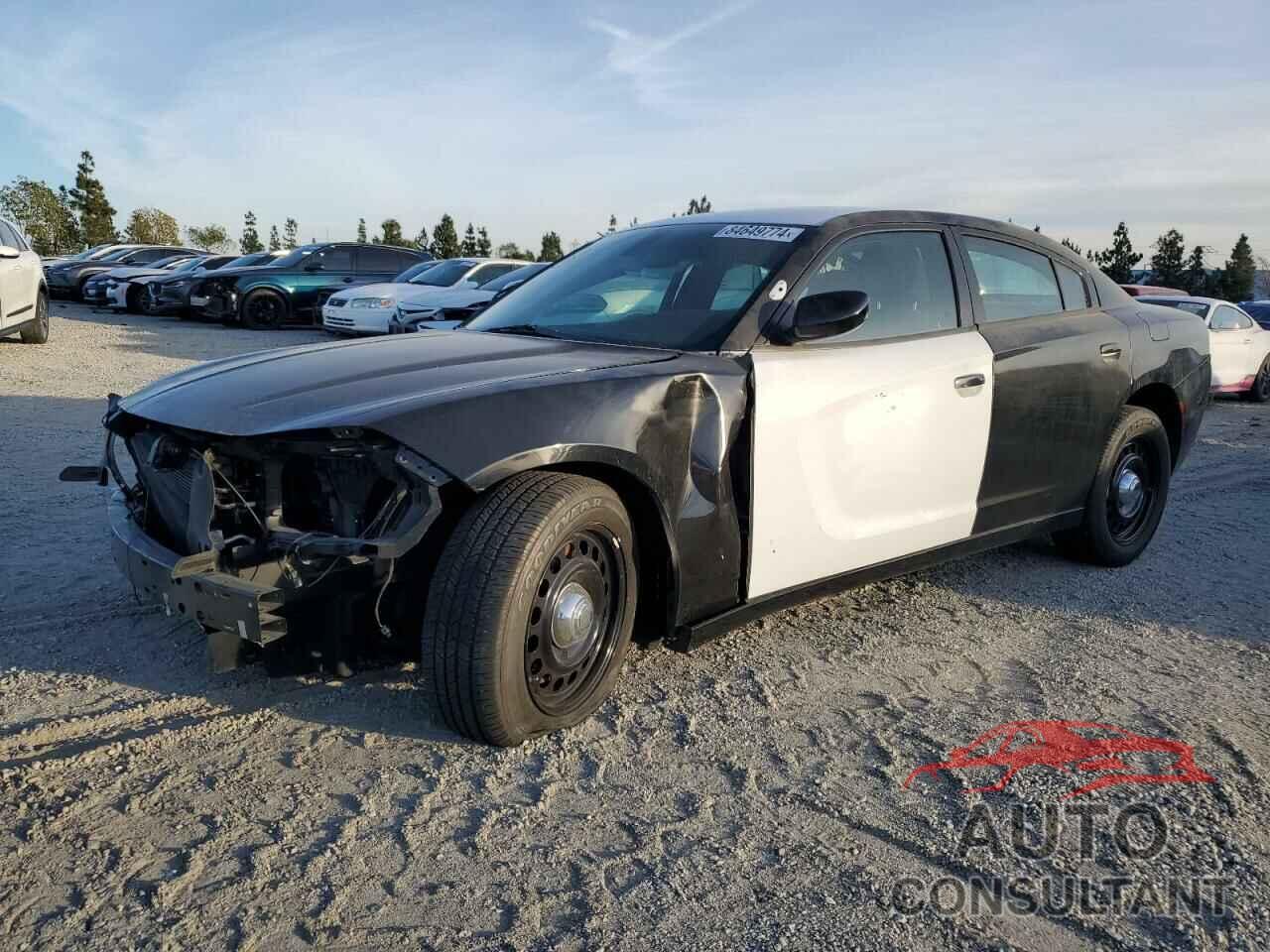 DODGE CHARGER 2019 - 2C3CDXKT9KH726976