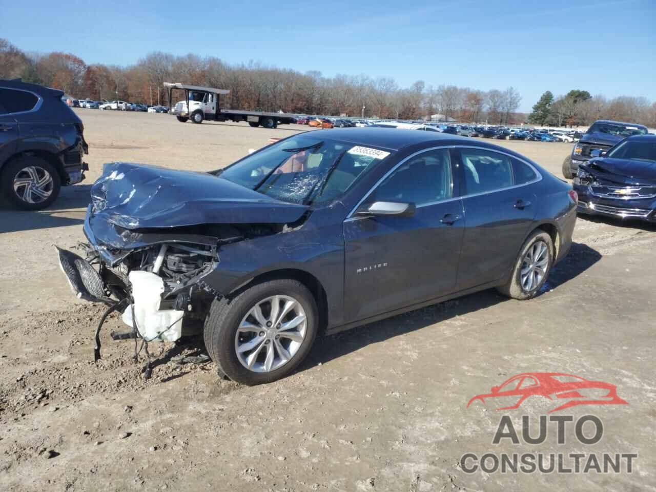 CHEVROLET MALIBU 2019 - 1G1ZD5ST5KF137749