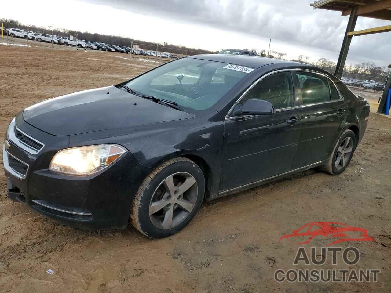 CHEVROLET MALIBU 2011 - 1G1ZC5EU0BF338725