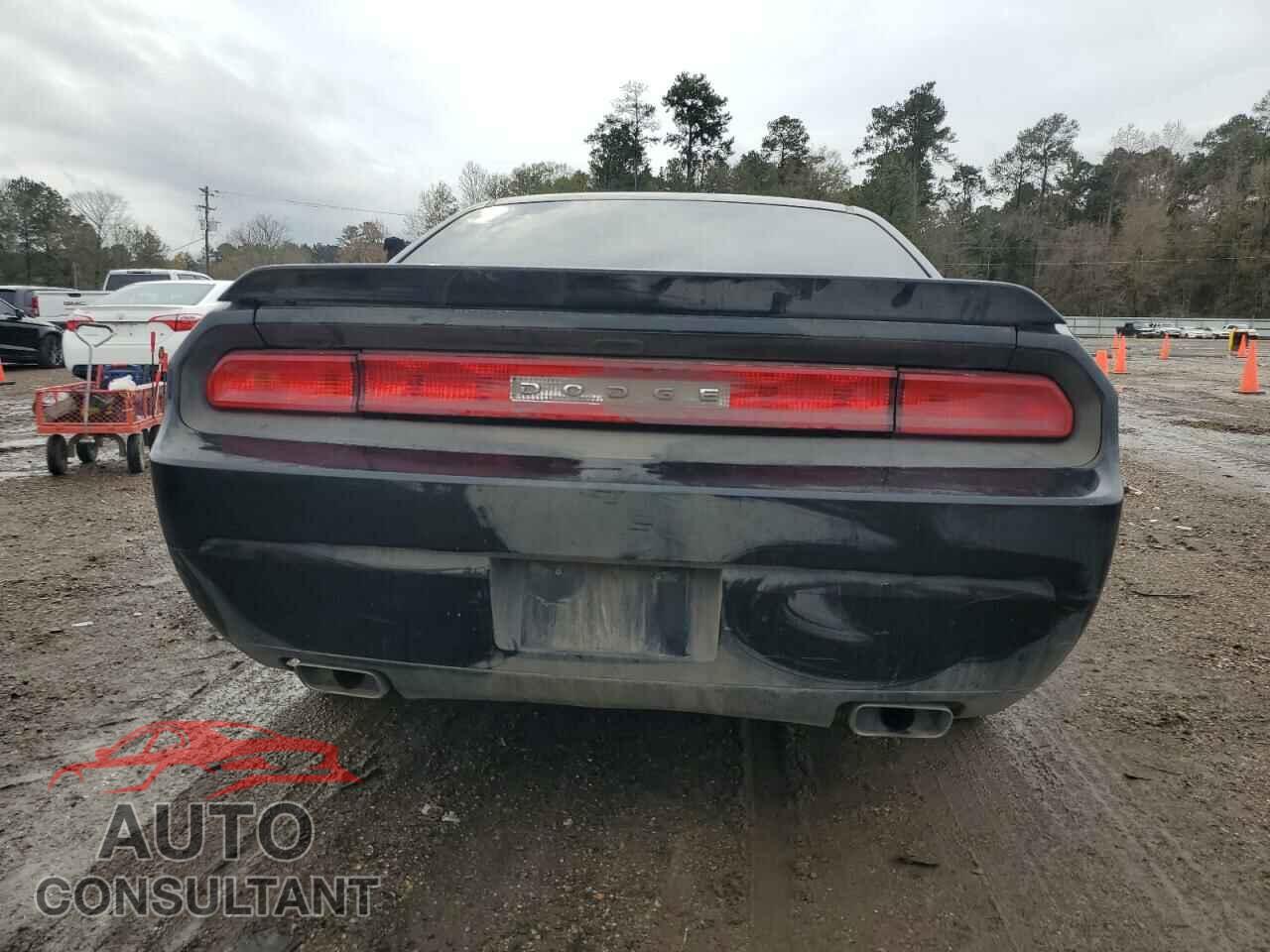 DODGE CHALLENGER 2011 - 2B3CJ4DG5BH542168