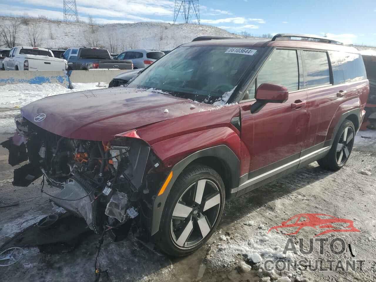 HYUNDAI SANTA FE 2024 - 5NMP3DG15RH004487