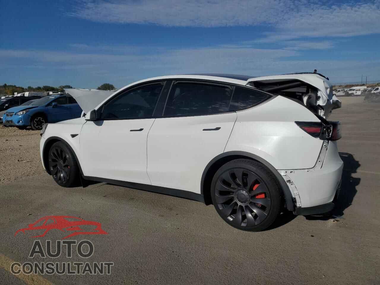 TESLA MODEL Y 2024 - 7SAYGDEF2RF027236