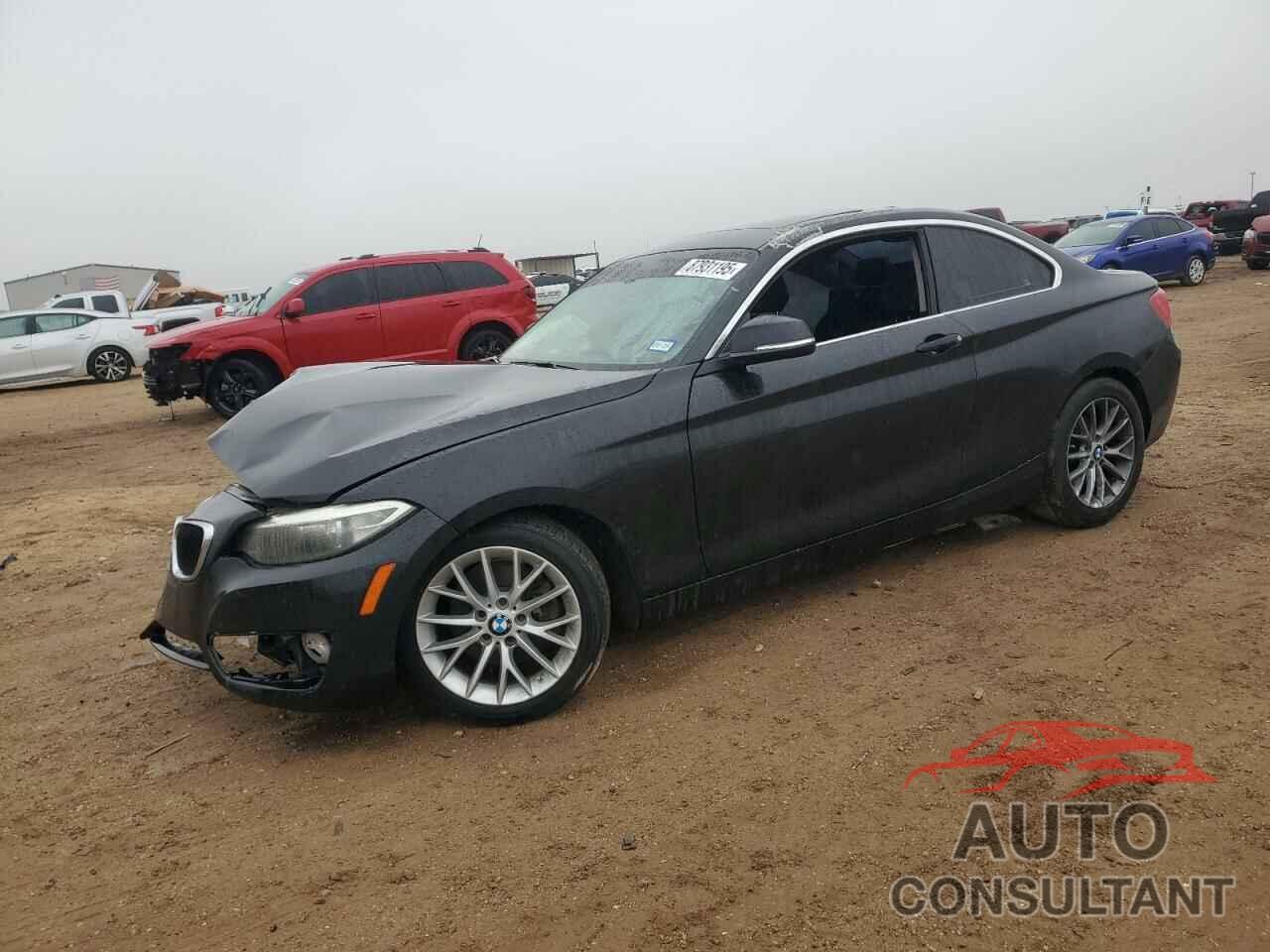 BMW 2 SERIES 2014 - WBA1F5C5XEVV99178