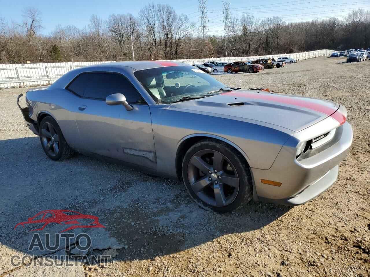 DODGE CHALLENGER 2013 - 2C3CDYAG9DH653590