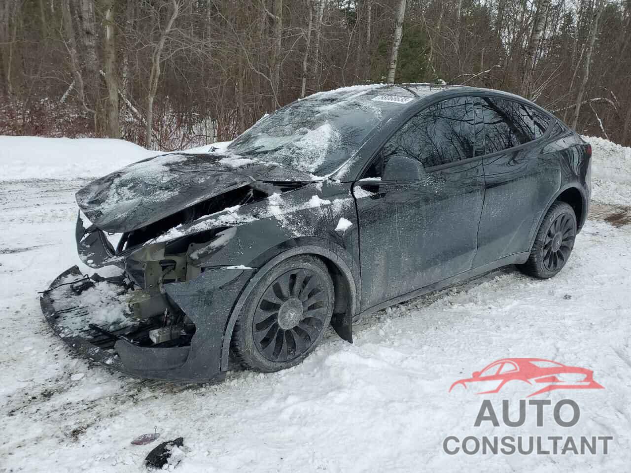 TESLA MODEL Y 2024 - 7SAYGDEEXRF090219