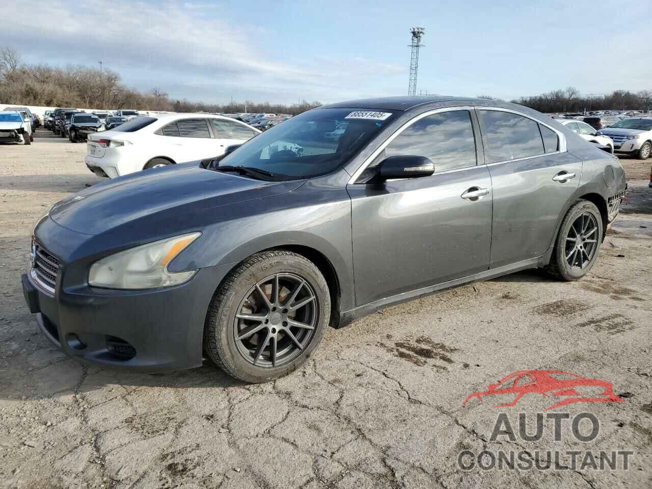 NISSAN MAXIMA 2009 - 1N4AA51E89C837489