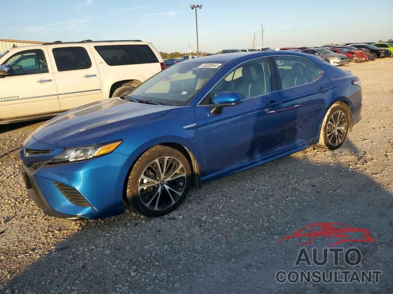 TOYOTA CAMRY 2020 - 4T1G31AKXLU018655