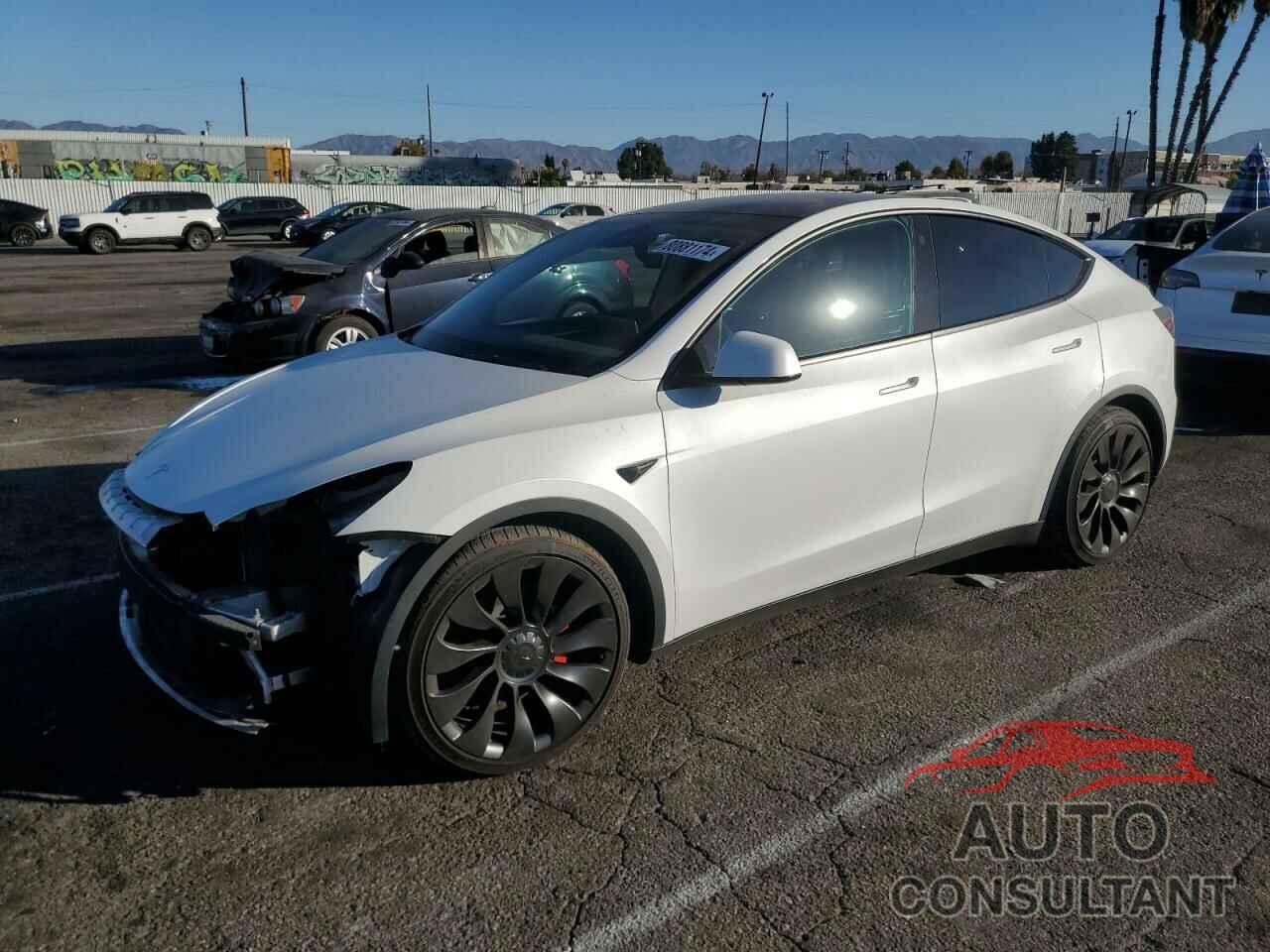 TESLA MODEL Y 2022 - 7SAYGDEF6NF560975