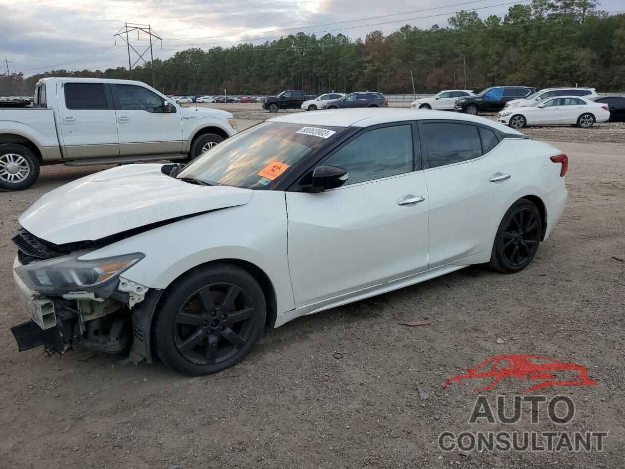 NISSAN MAXIMA 2016 - 1N4AA6AP6GC445969