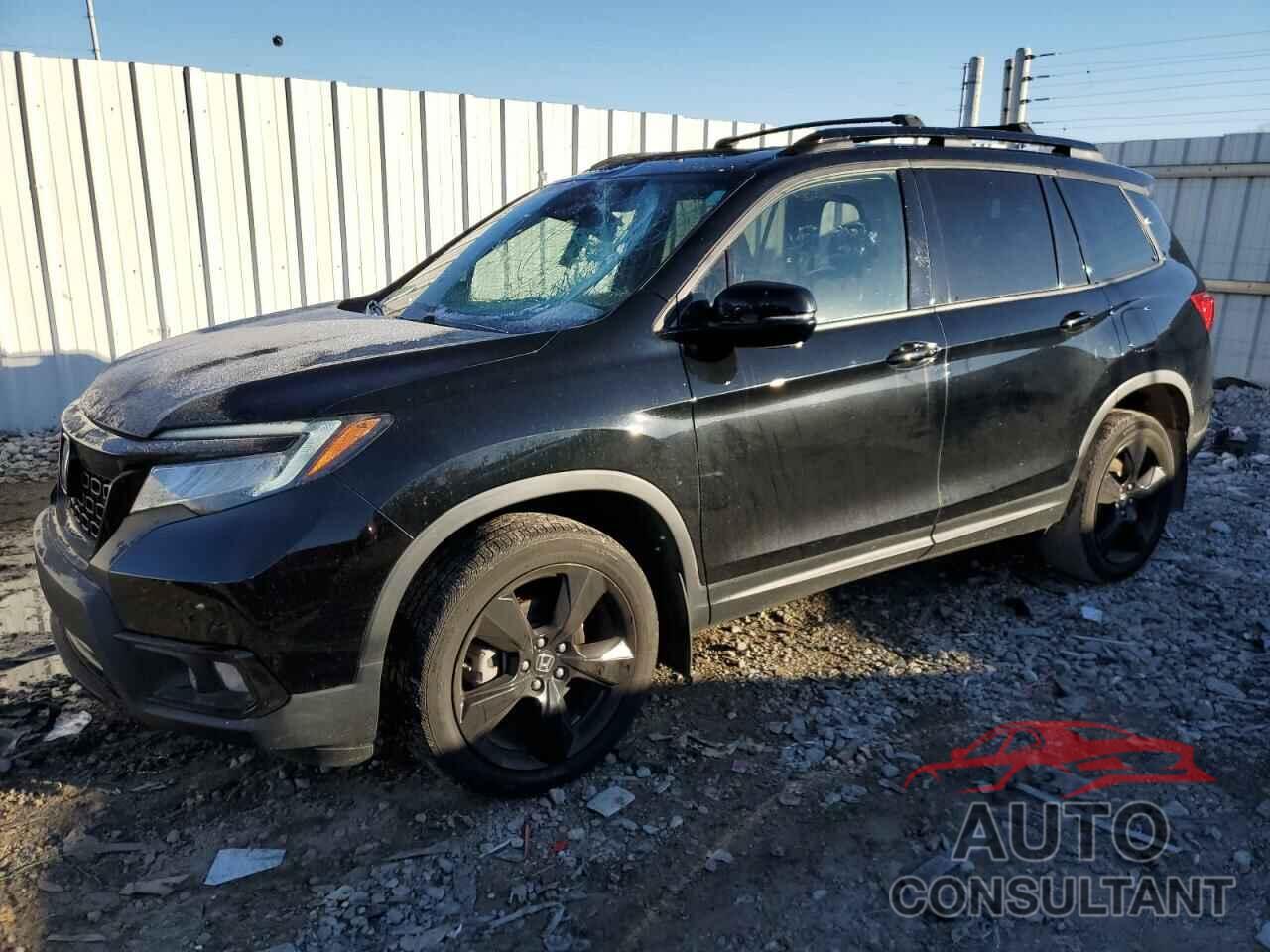 HONDA PASSPORT 2019 - 5FNYF8H08KB017640