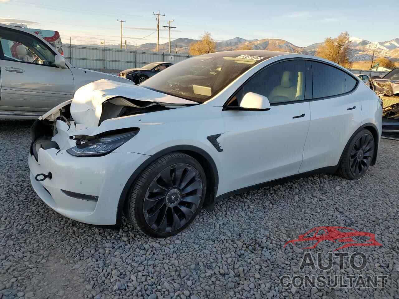 TESLA MODEL Y 2021 - 5YJYGDEF6MF091852