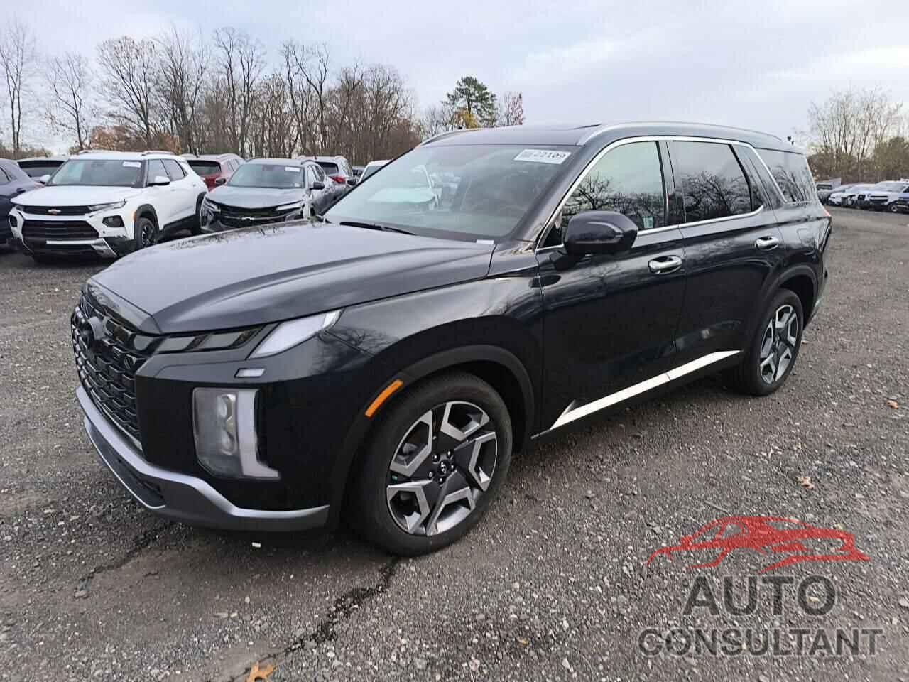 HYUNDAI PALISADE 2024 - KM8R5DGEXRU789714