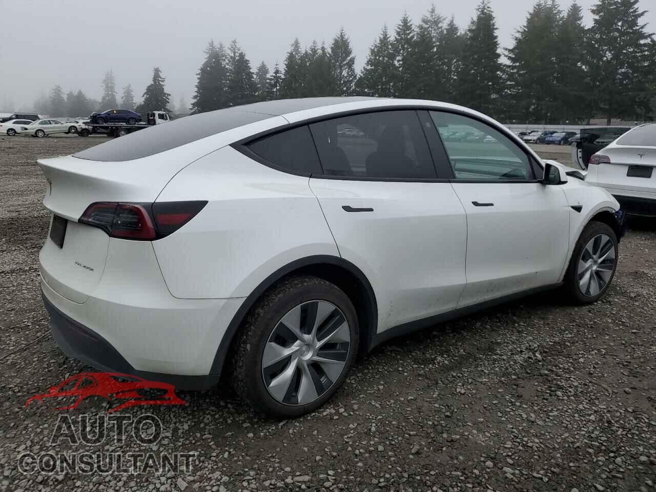 TESLA MODEL Y 2023 - 7SAYGDEE6PF685453