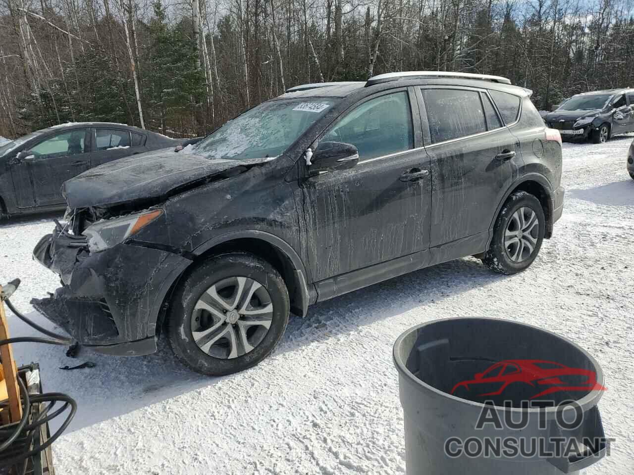 TOYOTA RAV4 2016 - 2T3BFREV5GW429639