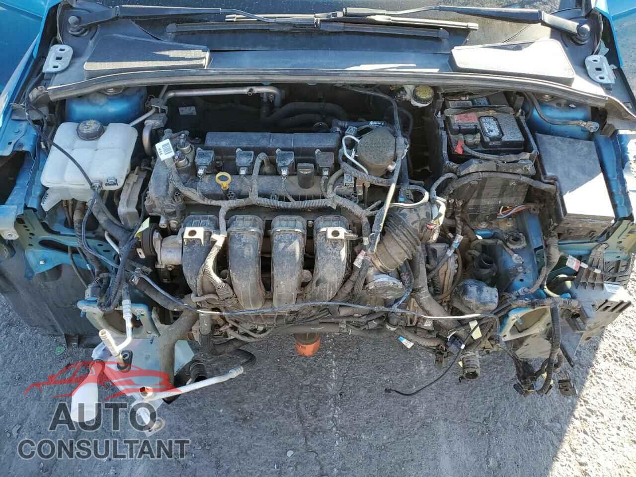 FORD FOCUS 2015 - 1FADP3K21FL319787