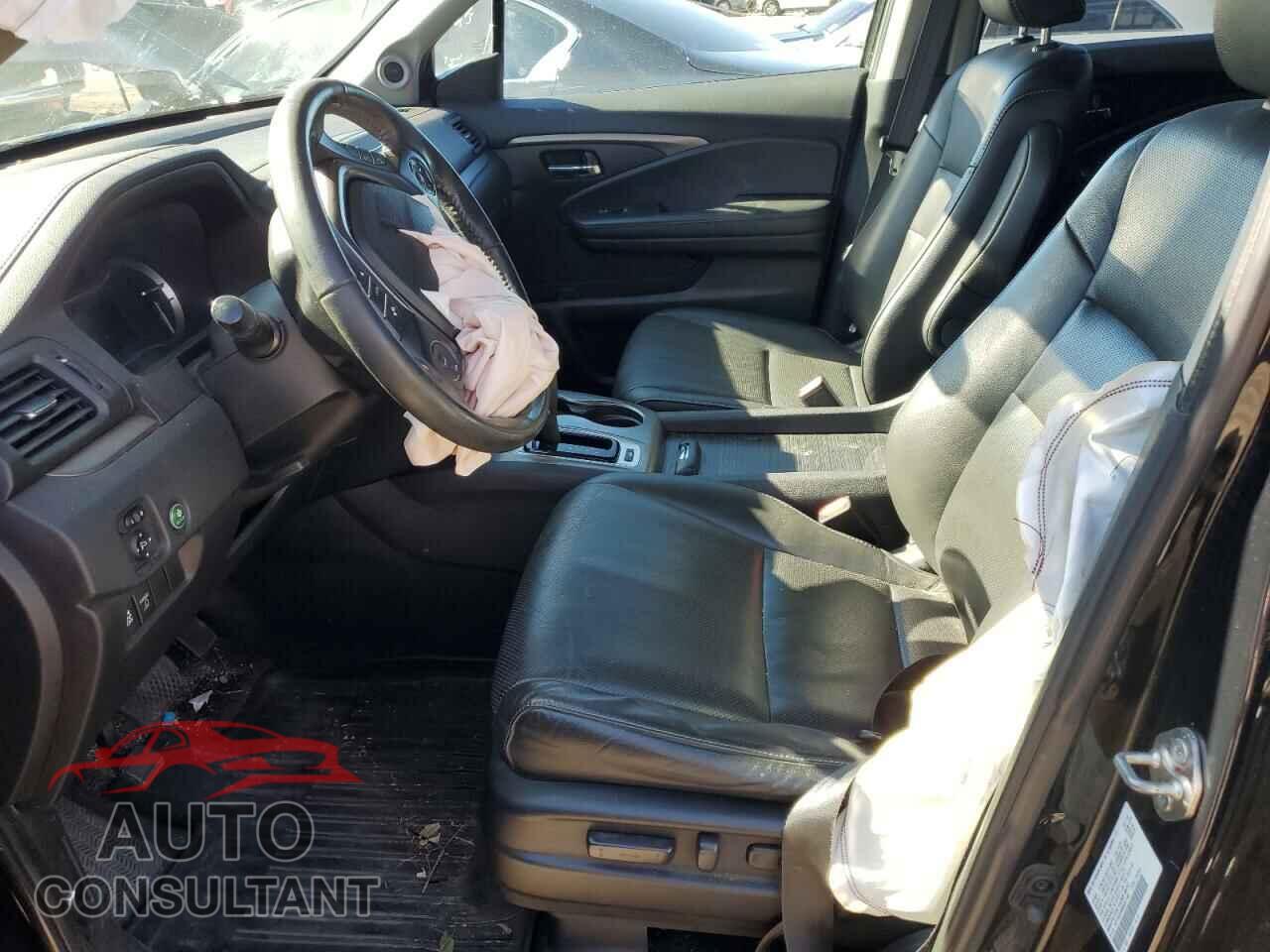 HONDA RIDGELINE 2019 - 5FPYK3F50KB041192