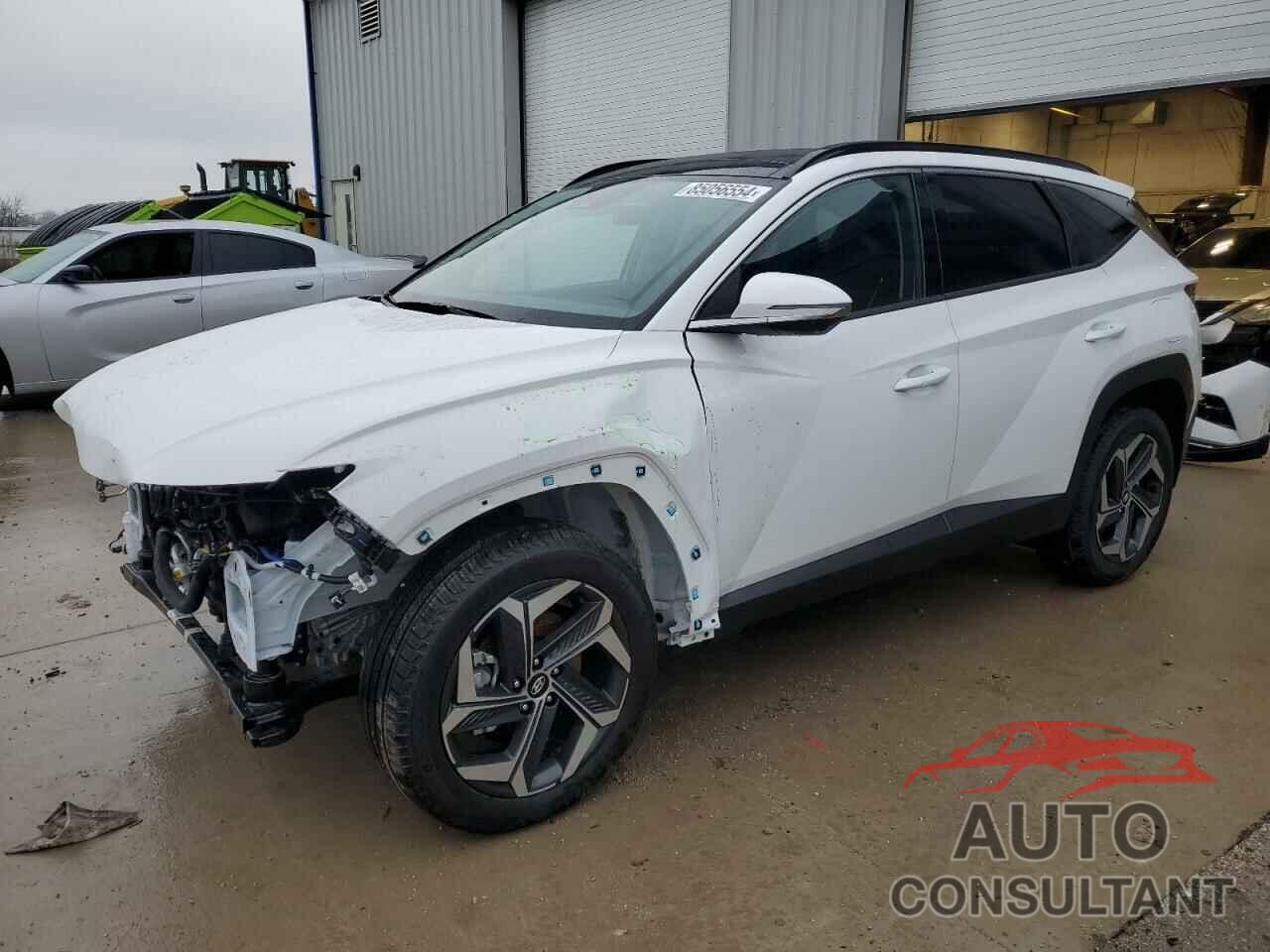 HYUNDAI TUCSON 2024 - 5NMJECDE1RH391301