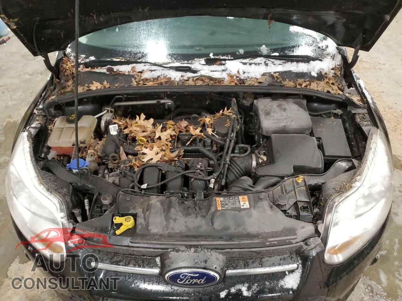 FORD FOCUS 2014 - 1FADP3K2XEL346646