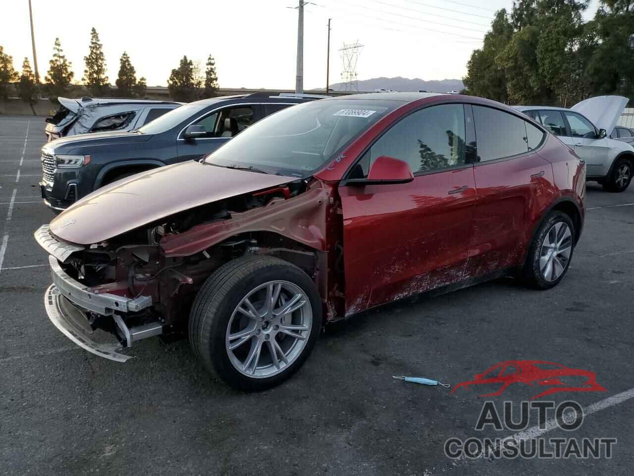 TESLA MODEL Y 2024 - 7SAYGDEE8RA243161
