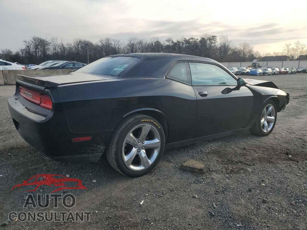 DODGE CHALLENGER 2014 - 2C3CDYAG2EH274531