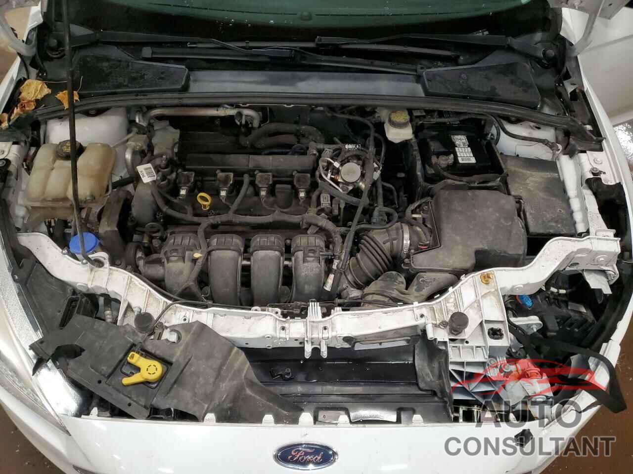 FORD FOCUS 2017 - 1FADP3K23HL215367