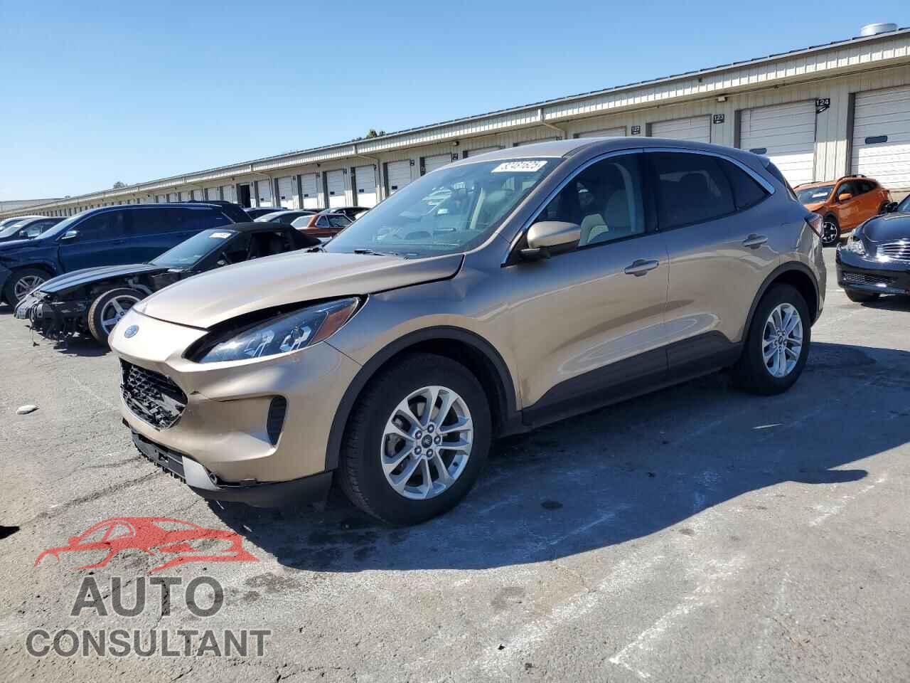FORD ESCAPE 2020 - 1FMCU0G66LUA10374