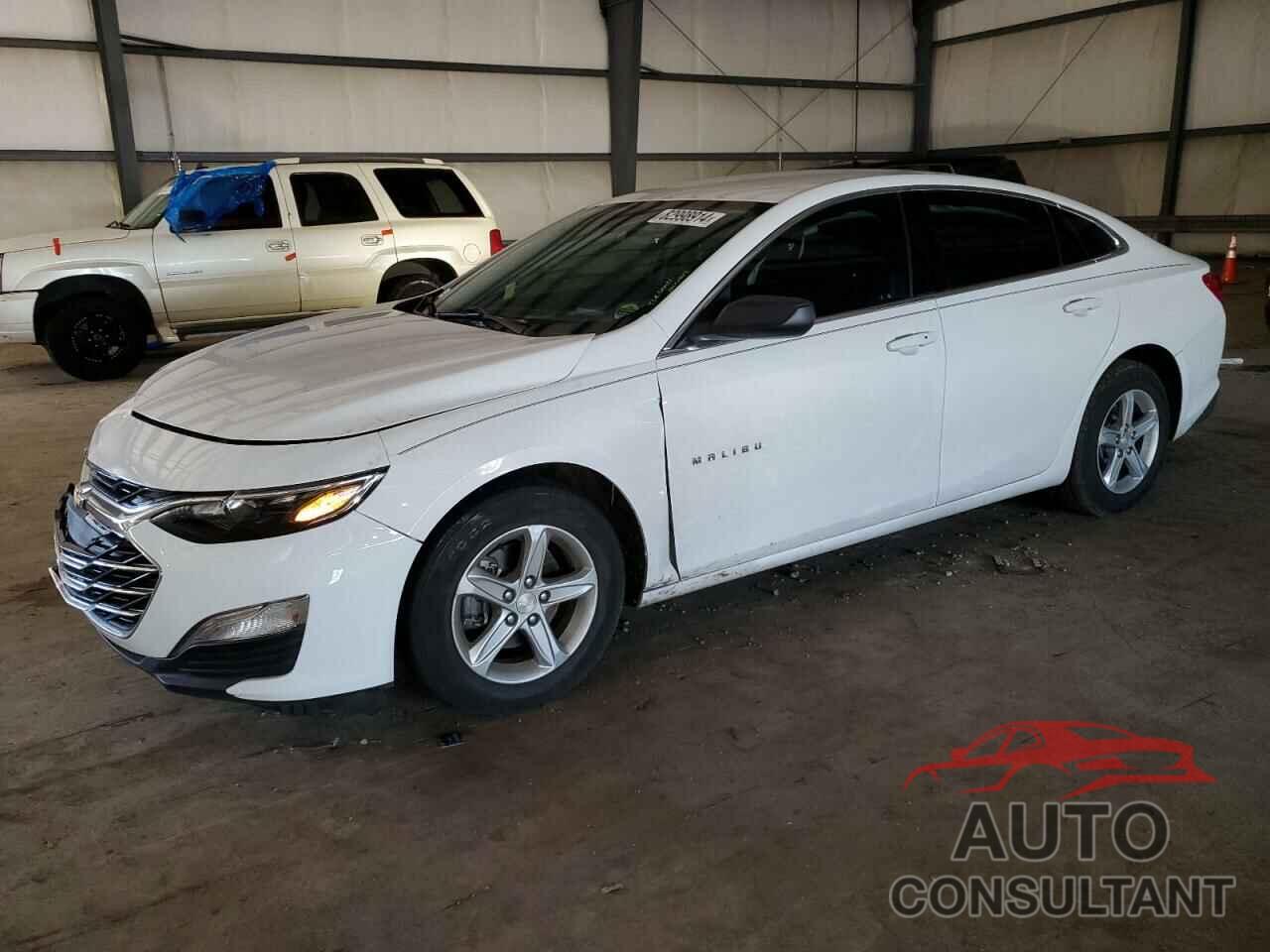 CHEVROLET MALIBU 2019 - 1G1ZB5ST6KF189803