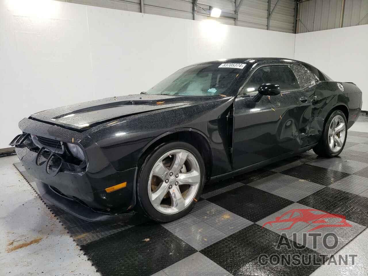 DODGE CHALLENGER 2014 - 2C3CDYAG4EH313815