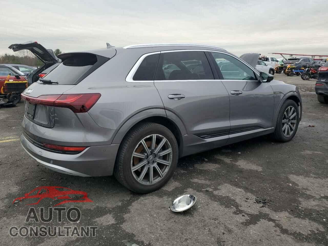 AUDI E-TRON 2019 - WA1LABGE4KB022253