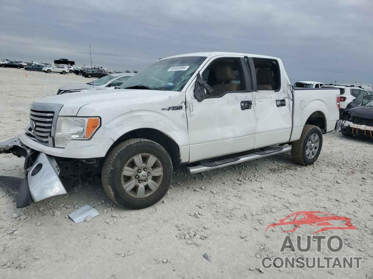FORD F-150 2010 - 1FTEW1C88AKA66121