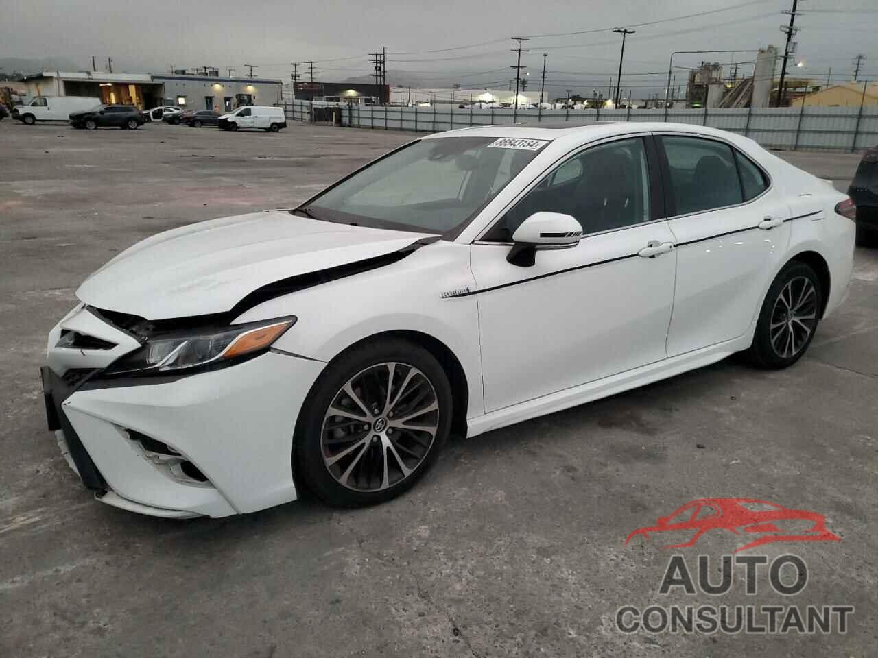 TOYOTA CAMRY 2019 - 4T1B21HK7KU516068