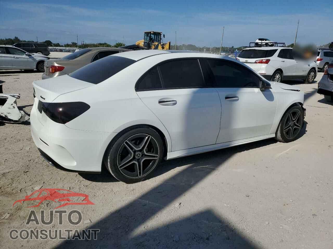 MERCEDES-BENZ A-CLASS 2019 - WDD3G4FB3KW005255
