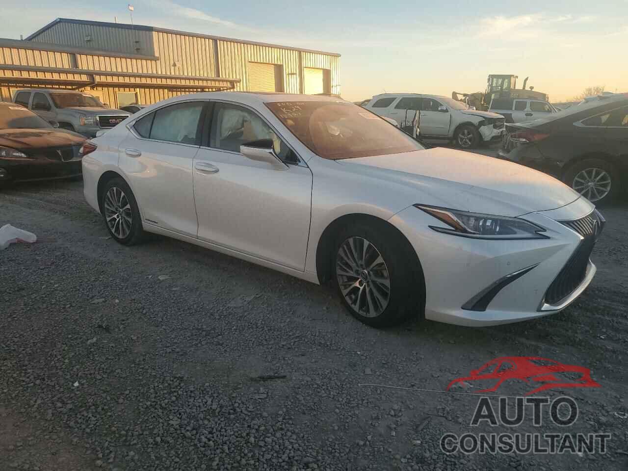 LEXUS ES300 2019 - 58AB21B12KU001391